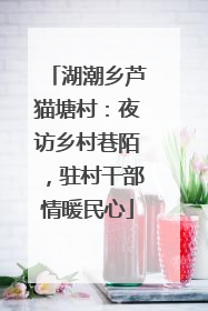 湖潮乡芦猫塘村：夜访乡村巷陌，驻村干部情暖民心